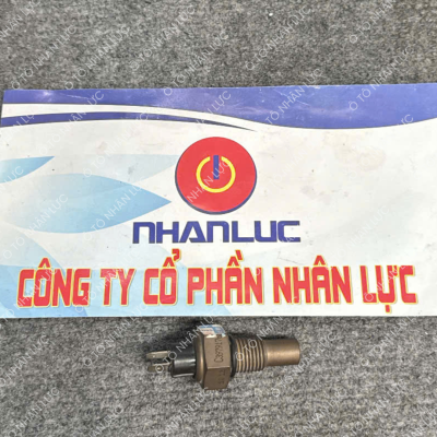 Cảm Biến Nhiệt Độ Nước Dongfeng L375 C3979176