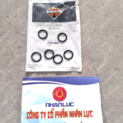Bộ Sin Kim Phun Nhiên Liệu International Maxxforce