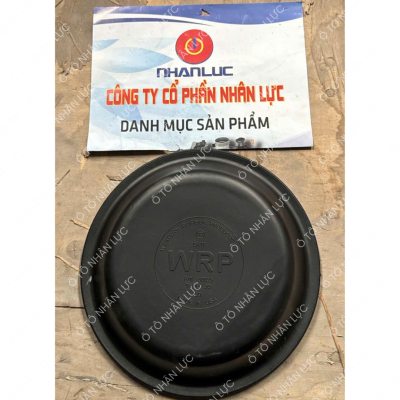 Da Thắng T30 IWRPI